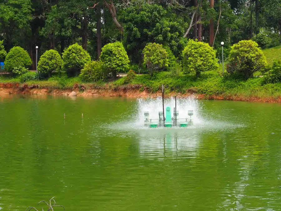 How Proper Installation Improves Water Circulation Santa Fe, NM