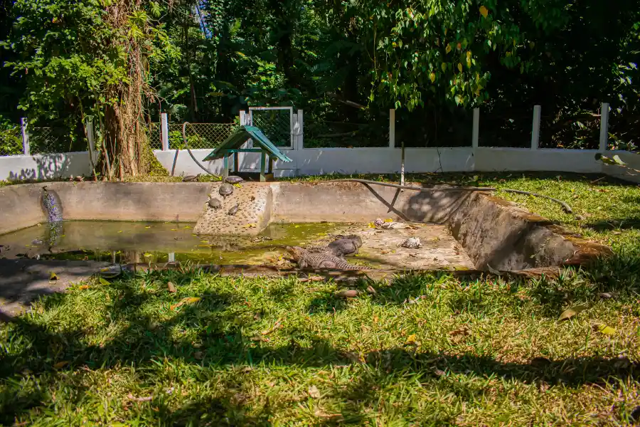 How Water Feature Installation Enhances Outdoor Spaces Santa Fe, NM