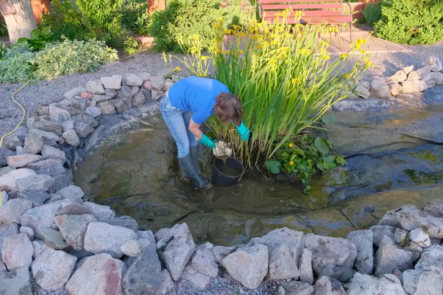 Outstanding Pond Repair in Santa Fe, NM