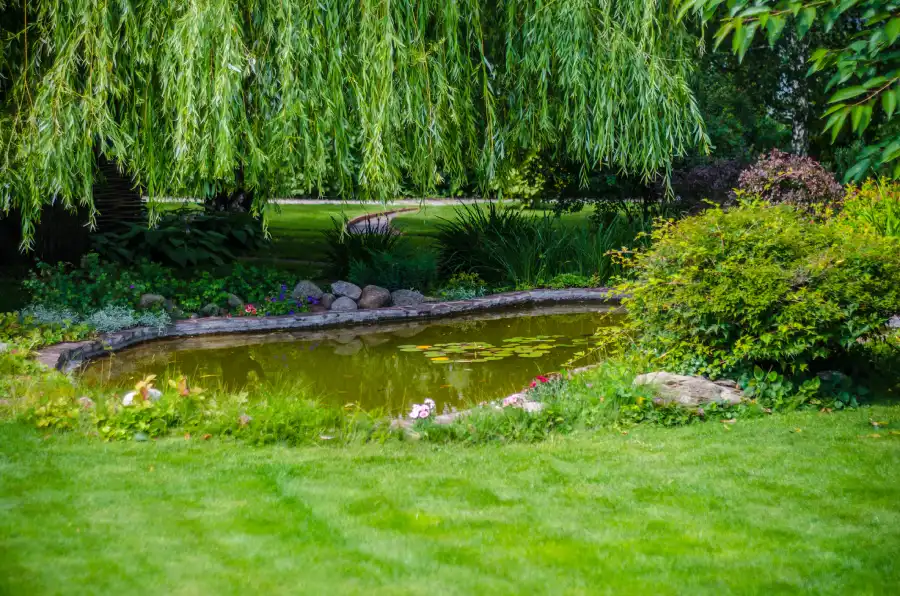 Top-notch Water Feature Installation in Santa Fe, NM